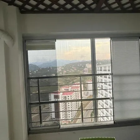 Memisoglu *