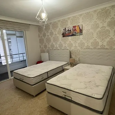Memisoglu