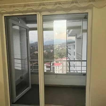 Memisoglu